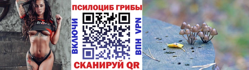 Галлюциногенные грибы Magic Shrooms  Купить закладки  Конаково 