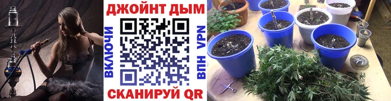 Конопля Bruce Banner  Купить где  Конаково 